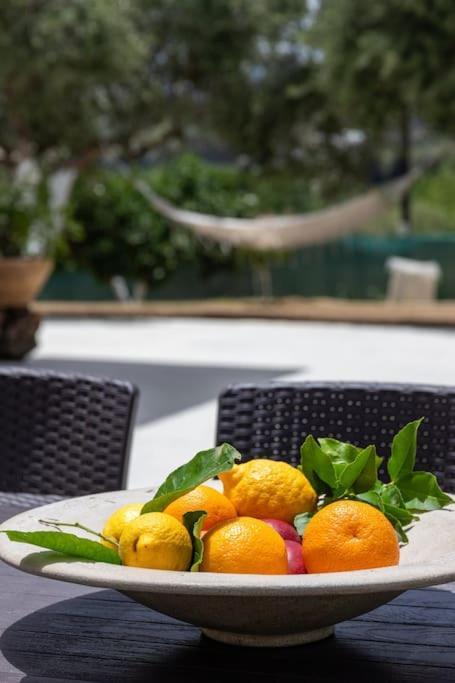 Olive Garden Villa Chania Chania  Buitenkant foto